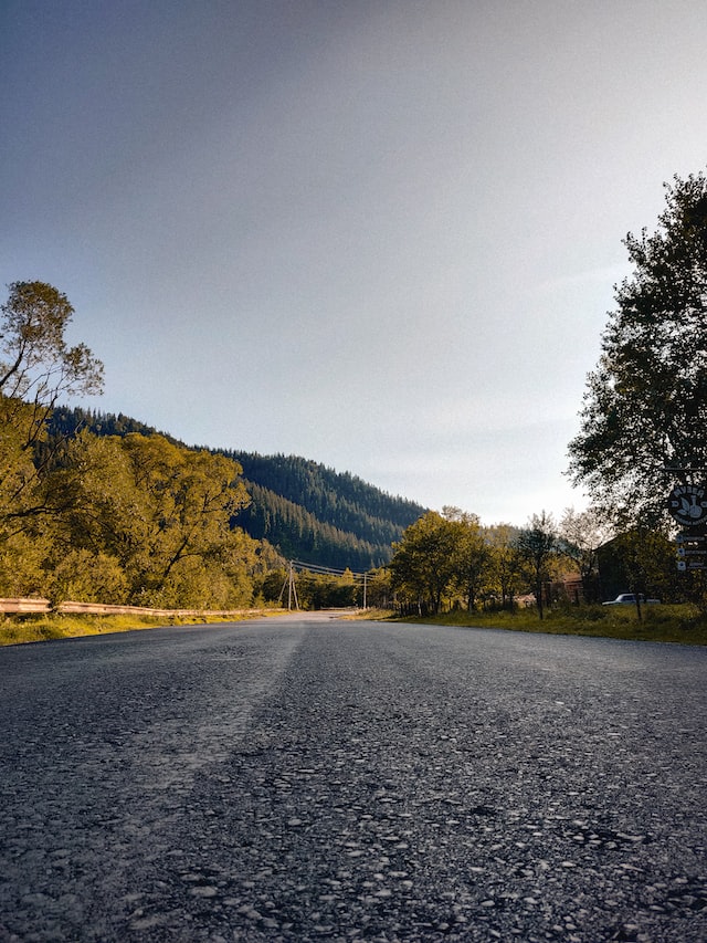asphalt road leading to forest